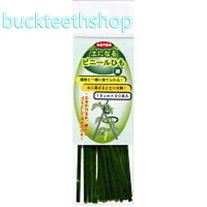 tHXg@yɂȂrj[Ђ@΁@15cm×30P