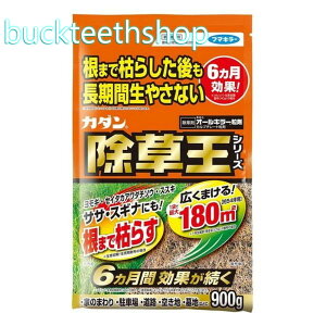 t}L[Ё@J_I[L[܁@900g@y12z4902424450088