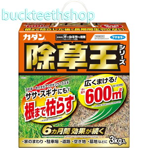 t}L[Ё@J_I[L[܁@3kg@y6z4902424450101