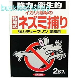 CJŁijƊJ@̓`[N@Ɩp@2iCJ