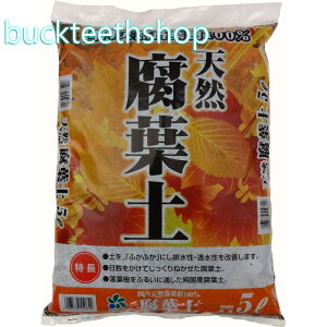 RpȊwij@VRty@5L@y10z4907579550829