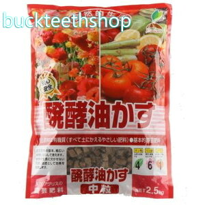 cJOYAOX@y@2D5kg@@iJOYj