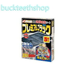 SHIMADA@E҃ubNilY~SV[gj@5