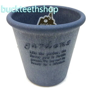 ���������i���j�@�G�R�|�b�g�@�ی^6���@�l�C�r�[