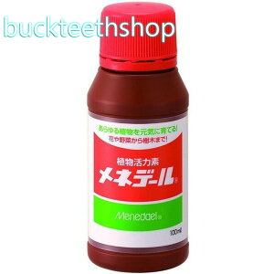 ���l�f�[�����@���l�f�[���@100cc