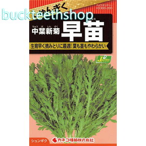 JlRc@^l@񂬂@tVe@ciȂj