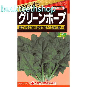 JlRc@^l@ق񂻂@O[z[v