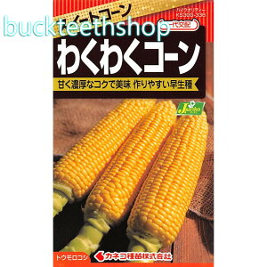 JlRc@^l@XC[gR[@킭킭R[@i82j