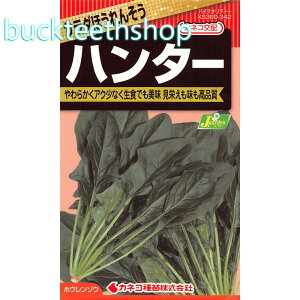 JlRc@^l@T_ق񂻂@n^[