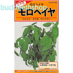 �J�l�R��c�@�^�l�@�����w�C��