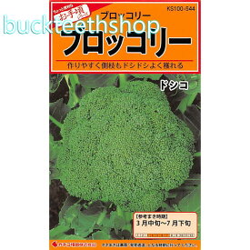 カネコ種苗　タネ　ブロッコリー　ドシコ