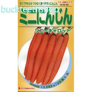 JlRc@^l@~jɂ񂶂@\j[Lbg