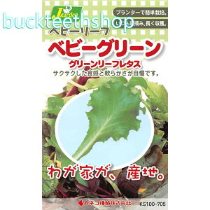 JlRc@^l@xr[[tQxr[O[@O[[t^X