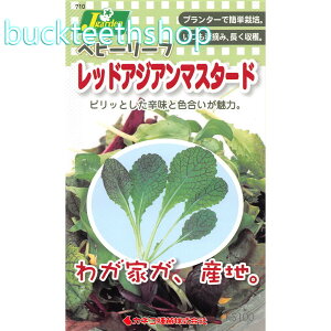 JlRc@^l@xr[[tQbhAWA}X^[h