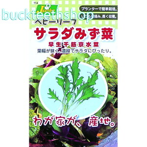 JlRc@^l@xr[[tQT_݂؁@؋