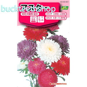 �J�l�R��c�@�^�l�@�A�X�^�[�@�؉ԑ�֍�E����