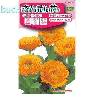 JlRc@^l@񂹂ԁ@֍Eނ炶