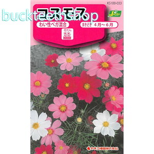 �J�l�R��c�@�^�l�@�R�X���X�@�킢���x�K����