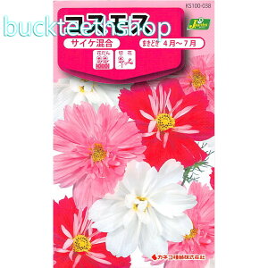 �J�l�R��c�@�^�l�@�R�X���X�@�T�C�P����