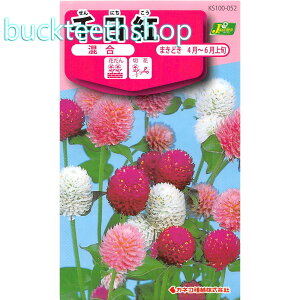 �J�l�R��c�@�^�l�@����g�@����