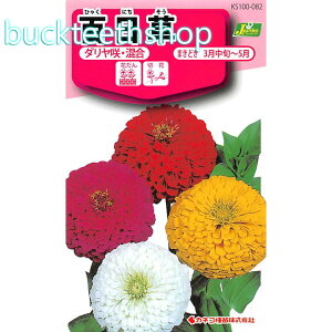 �J�l�R��c�@�^�l�@�S�����@�_������E����