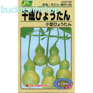 �J�l�R��c�@�^�l�@�琬�Ђ傤����@���^�Ђ傤����