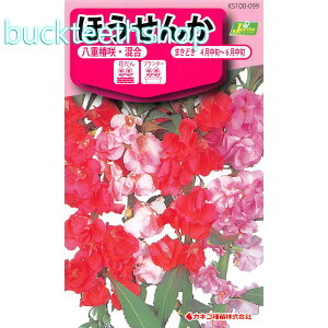 �J�l�R��c�@�^�l�@�ق����񂩁@���d�֍�E����