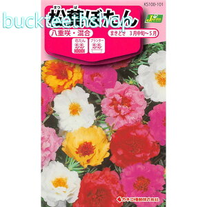 �J�l�R��c�@�^�l�@���t�ڂ���@���d��E����