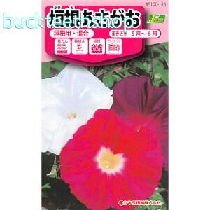 �J�l�R��c�@�^�l�@�_�����������@�_���p�E����