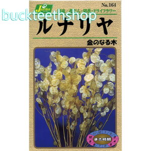 �J�l�R��c�@�^�l�@���i�����@���̂Ȃ��