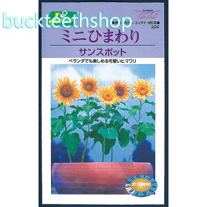 �J�l�R��c�@�^�l�@�~�j�Ђ܂��@�T���X�|�b�g