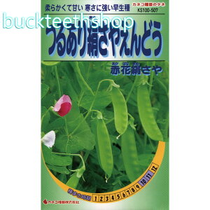 JlRc@^l@JK[fOXDX@I[o[V[h@1L@i܁j