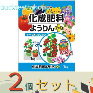 2ZbgAOAij@엿悤vX@1kg@ij