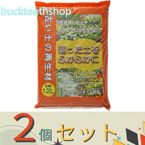 2Zbgvg[t@Ây̍Đށ@12L@iP[tj