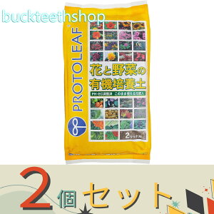 2Zbgvg[t@ԂƖ؂̗L@|{y@2L@iP[tj