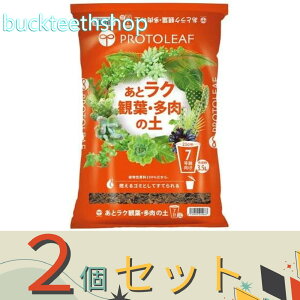 2Zbgvg[t@ƃNϗtE̓y@3D5L@iP[tj