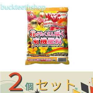 2Zbgij@Ԃ炭L@엿@500g