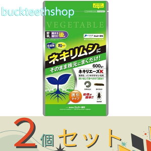 2ZbgGV[Ή@lLG[XK@600g@iGV[j