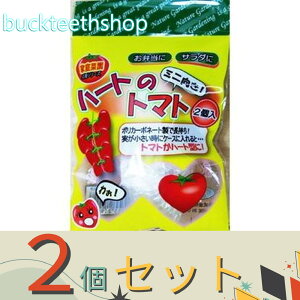 2ZbgtHXg@n[g̃g}g@~jg}g@2