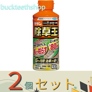 2Zbgt}L[Ё@J_I[L[܁@400g@y30z4902424450071