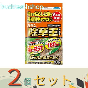 2Zbgt}L[Ё@J_I[L[܁@900g@y12z4902424450088