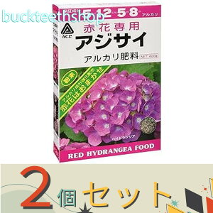 2ZbgijA~m[wi^LC@ԃAWTC@p엿@400g