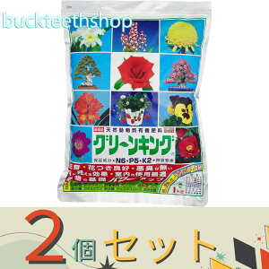 ※2個セット※マルタ小泉商事(有) グリーンキング 1kg