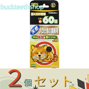 2ZbgSHIMADA@̂L񂹂Ȃ@4×2