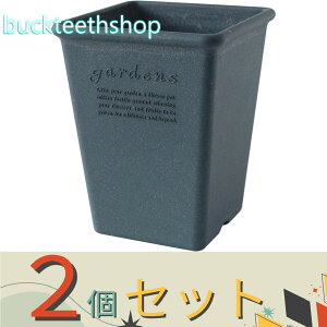 ��2�Z�b�g�����������i���j�@�G�R�|�b�g�p�^�@�l�C�r�[�@�����O190�@�i���������j