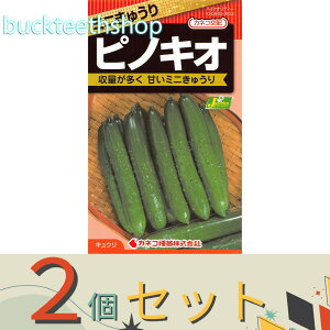 ��2�Z�b�g���J�l�R��c�@�^�l�@�~�j���イ��@�s�m�L�I