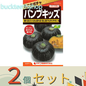 2ZbgJlRc@^l@~jڂ@pvLbY