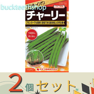 2ZbgJlRc@^l@v^[񂰂@`[[