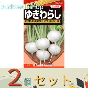 2ZbgJlRc@^l@ԁ@䂫炵