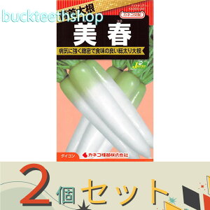 2ZbgJlRc@^l@卪@t